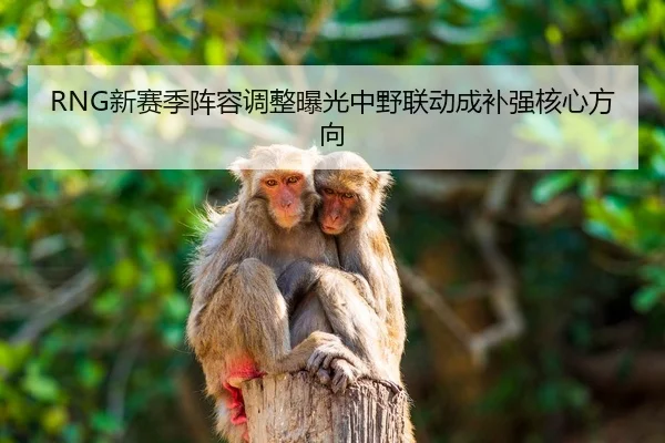 RNG新赛季阵容调整曝光中野联动成补强核心方向